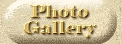 Photography Gallery